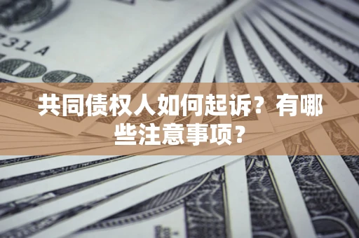 济南共同债权人如何起诉？有哪些注意事项？